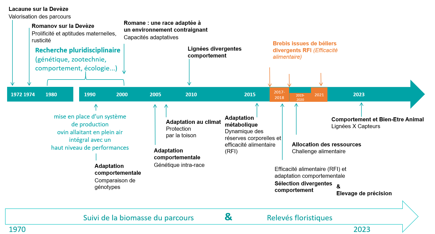 Frise Parcours