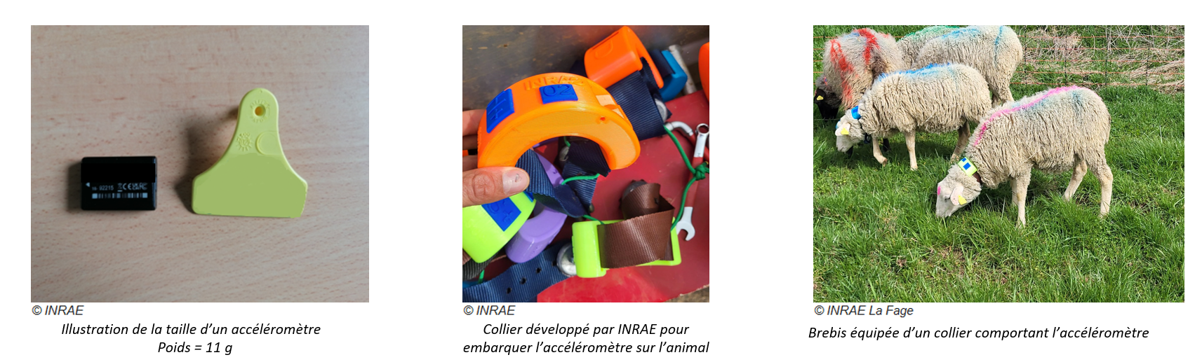 Accéléro