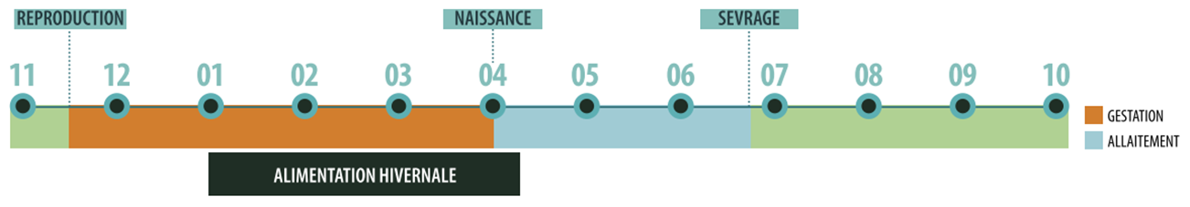 calendrier parcours