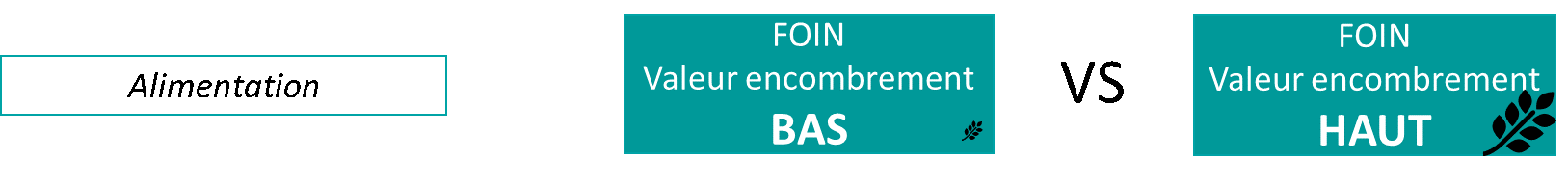 Alimentation