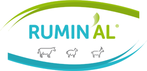 Logo Ruminal