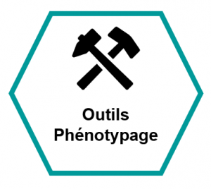 Outils Phénotypages