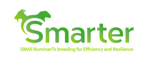 Logo smarter
