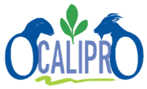 Logo Ocalipro
