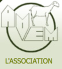 logo avem