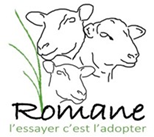 logo osromane