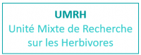 UMRH