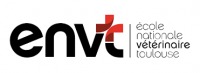 logo envt