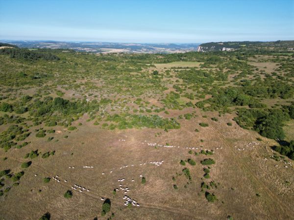 Troupeau Parcours